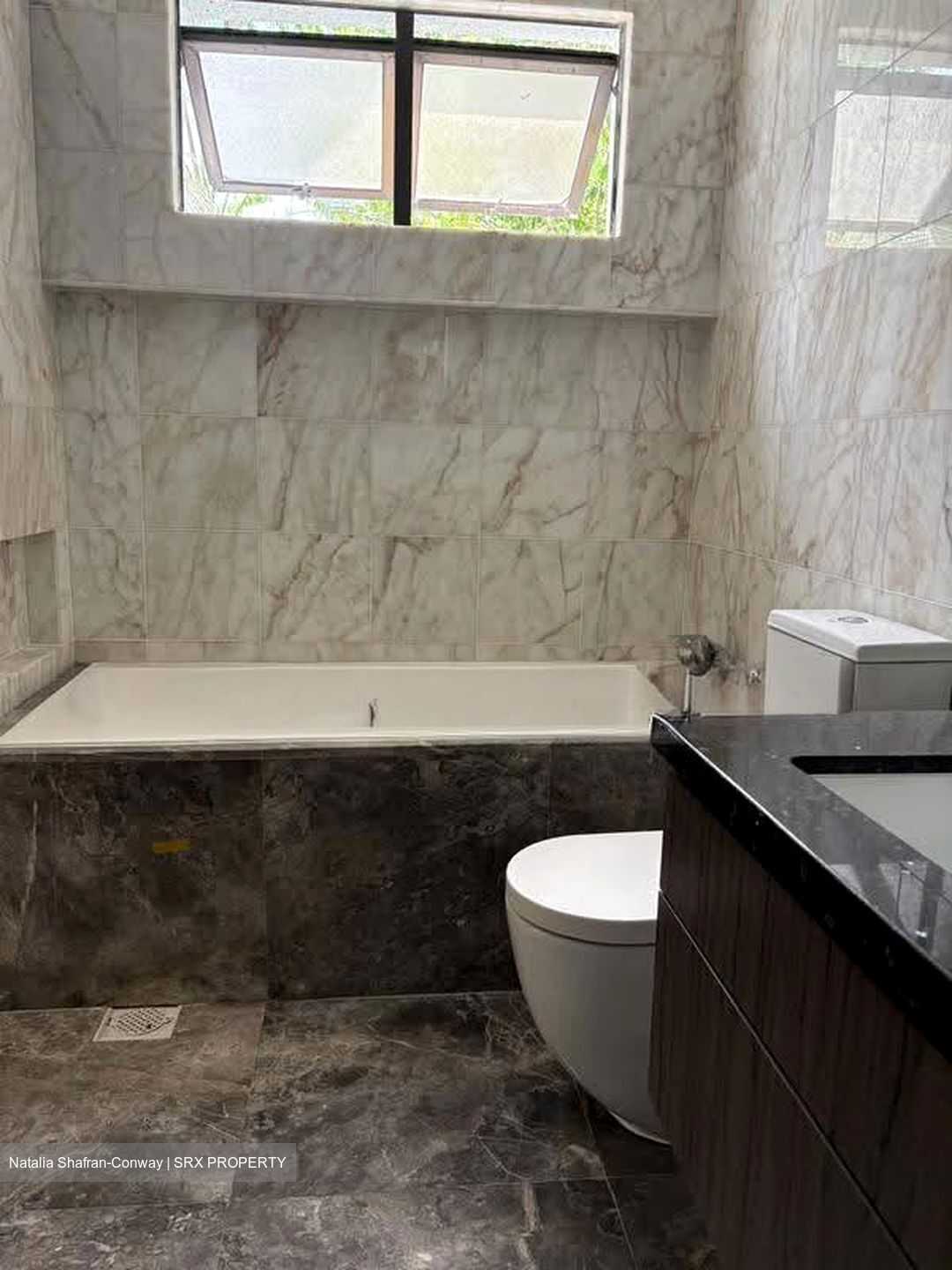 Tanglin Park (D10), Condominium #614192001